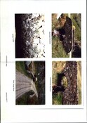 NG90SE0001CP01.pdf