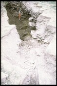 ND07SW0004 - Crosskirk Broch 18.jpg