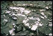 ND07SW0004 - Crosskirk Broch 47.jpg