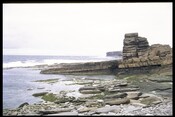 ND07SW0004 - Crosskirk Broch 50.jpg