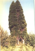 NH53SE0004CP01.pdf
