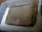 ND12NE0042 - Dunbeathstone_01.jpg