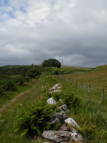 ND13SE0017HAW4.JPG