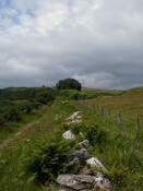ND13SE0017HAW4.JPG