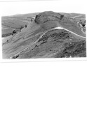 NH55NW0010BW02.pdf