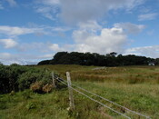 ND13SE0063HAW1.JPG