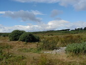ND13SE0165HAW5.JPG