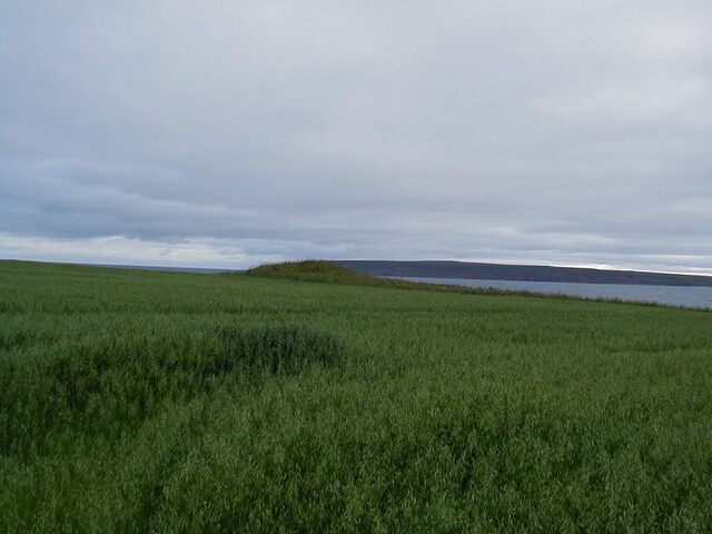 ND16NE0011HAW1.JPG