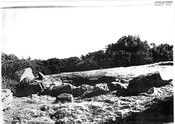 NH66SE000400050006BW02.pdf