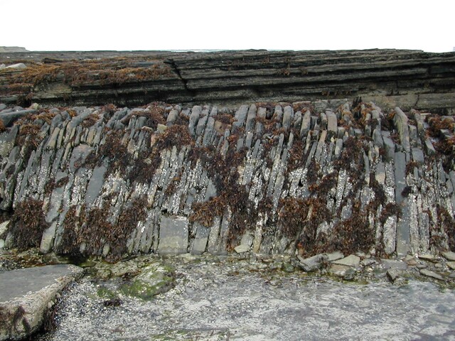 ND16NE0132CD2.JPG