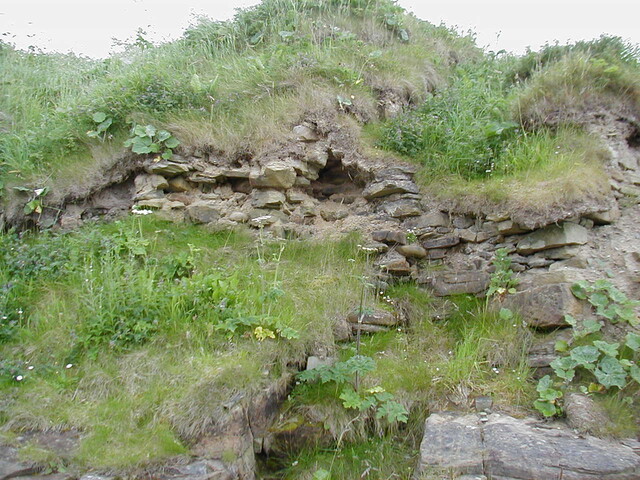 ND16NW0003HAW11.JPG