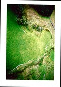NH70SE0006CP05.pdf