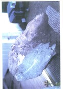 NH78NW0029CP01.pdf