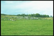 ND23NW0001 - Settlement, Wag of Forse 1.jpg
