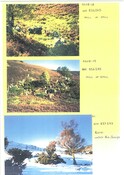 NH82SW0006-7-8CP01.pdf
