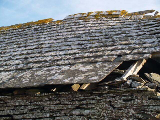 MHG52823_10.JPG