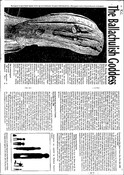 NN06SE0004AR02.pdf