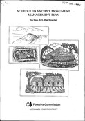 NN17SW0006RP02.pdf