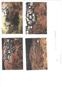 NN18SW0015CP01.pdf
