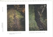 NN49NW0003CP02.pdf