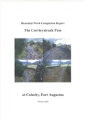 NN49NW0003RP22.pdf