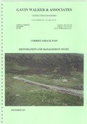NN49NW0003RP23.pdf
