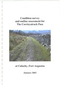 NN49NW0003RP25.pdf