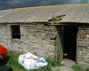 ND36SW0053-3JPG.jpg