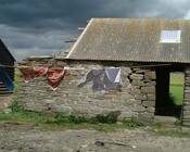 ND36SW0053-5.JPG