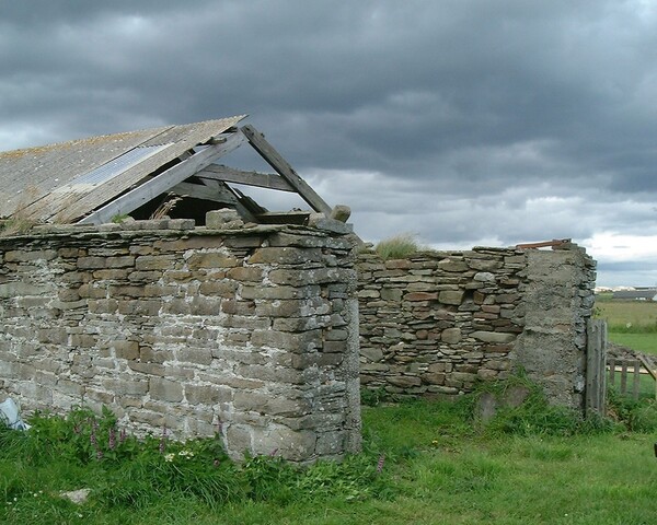 ND36SW0053-8.JPG