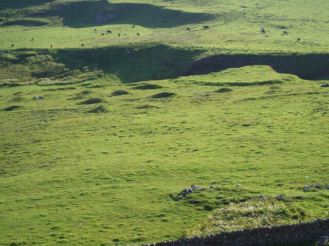 NG20NW0020 Tarbert township showing clearance (aug 07).JPG
