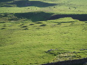 NG20NW0020 Tarbert township showing clearance (aug 07).JPG
