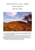 SHG23872.pdf