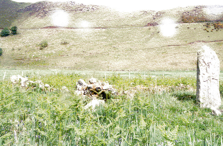 NM56SE0011.gif