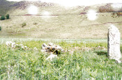 NM56SE0011.gif