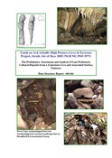 SHG22455_HighPastureCave.pdf