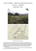 SHG24100.pdf