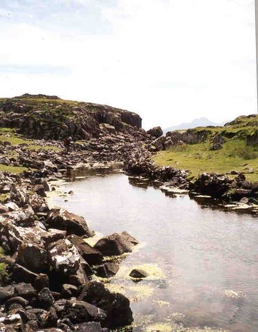 NG31NE0008b.jpg