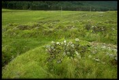 NG32NE0004 - Shieling Huts, Glen Brittle Forest 1.jpg