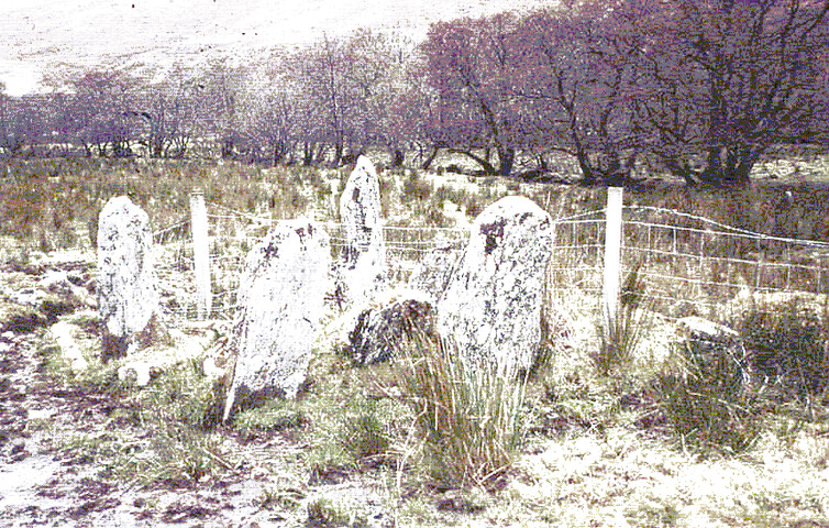 061159.gif