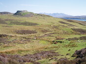 NG33NW0003 03.JPG