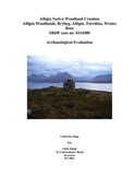 CHG2607_AlliginReport.pdf