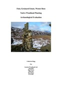 Fain SRDP survey.pdf