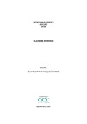 report_and_figs.pdf