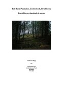 Bull Burn Plantation Archaeological Survey.pdf