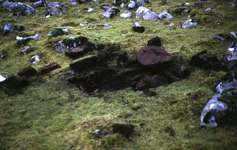 NG35NE0006CP03.jpg