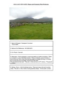 Graveyard Culinellan.pdf