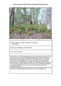 Isle Maree.pdf