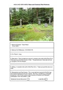 Tower Wood.pdf