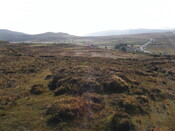 NG45SW0055 and NG45SW0040.jpg